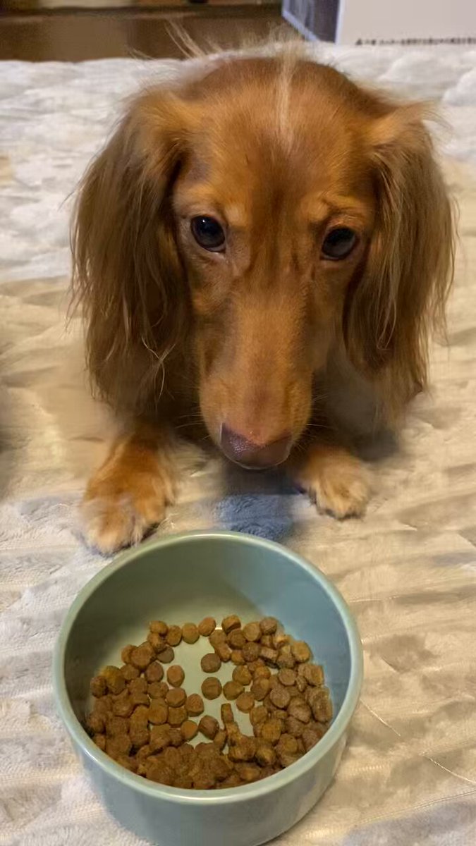 マロとなぎ (@marokun2223) / Posts / X