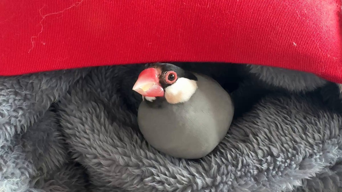 まさよ（7200BIRDIE） (@hina_chan29) / Posts / X