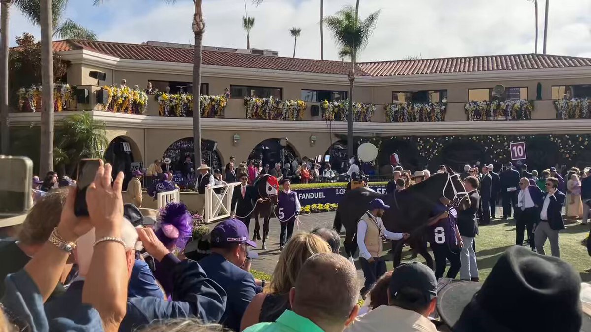 フォーエバーヤング 2025年ブリーダーズカップ 両日セット➕ネック