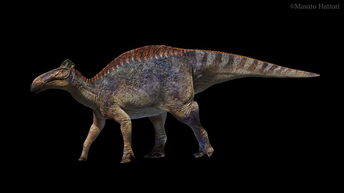 服部雅人 Masato Hattori (@dgdt2425) / Posts / X