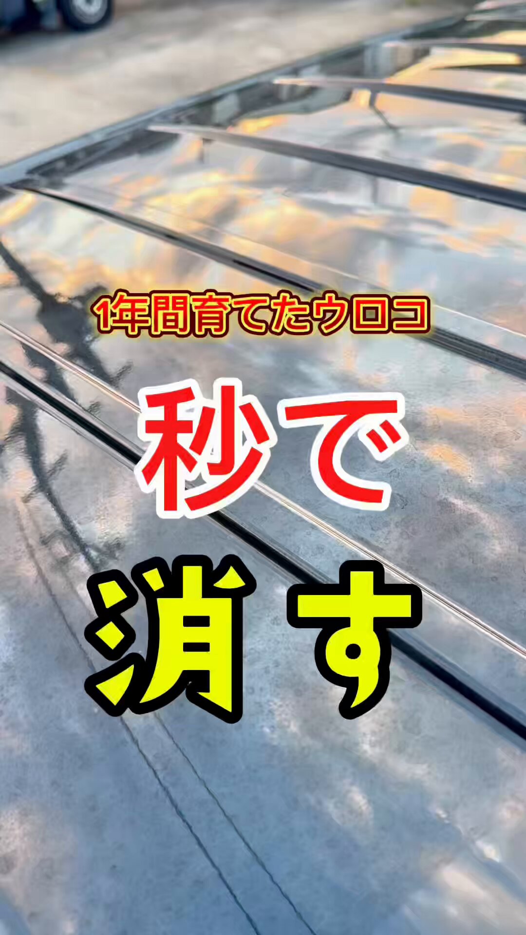 t*a様 【新品未使用】pallitto TKG & KYOTODETAIL中谷 タオル | KYOTO DETAIL online shop