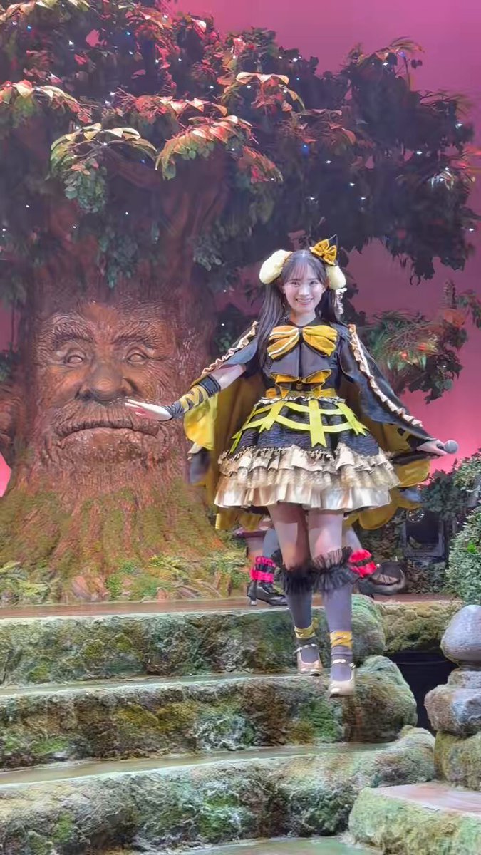 Video by @mutokimeki555