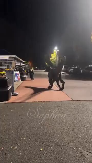 MOMO (@613momo) / Posts / X