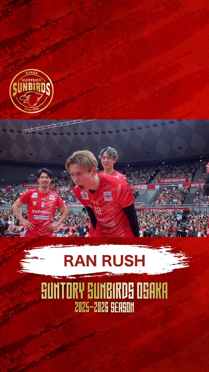 やっち　サントリーサンバーズ サントリーサンバーズ大阪 on X