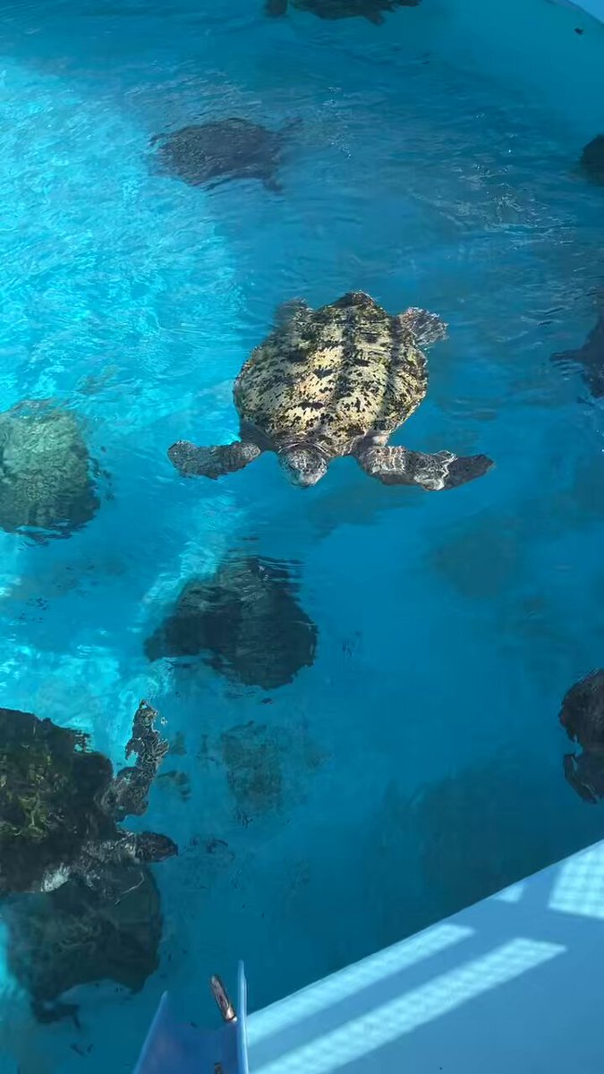 海の風景 海の景色 - Search / X