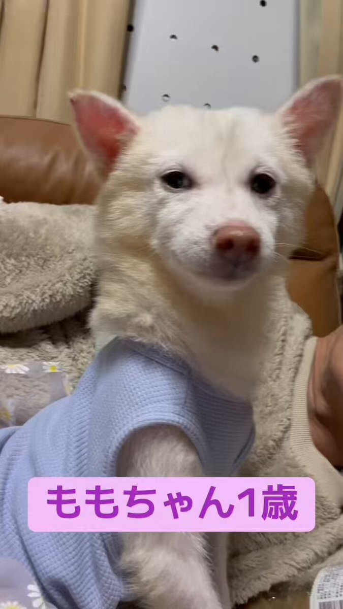 CHIEN様♡ありがとうございます♡ kaz on X