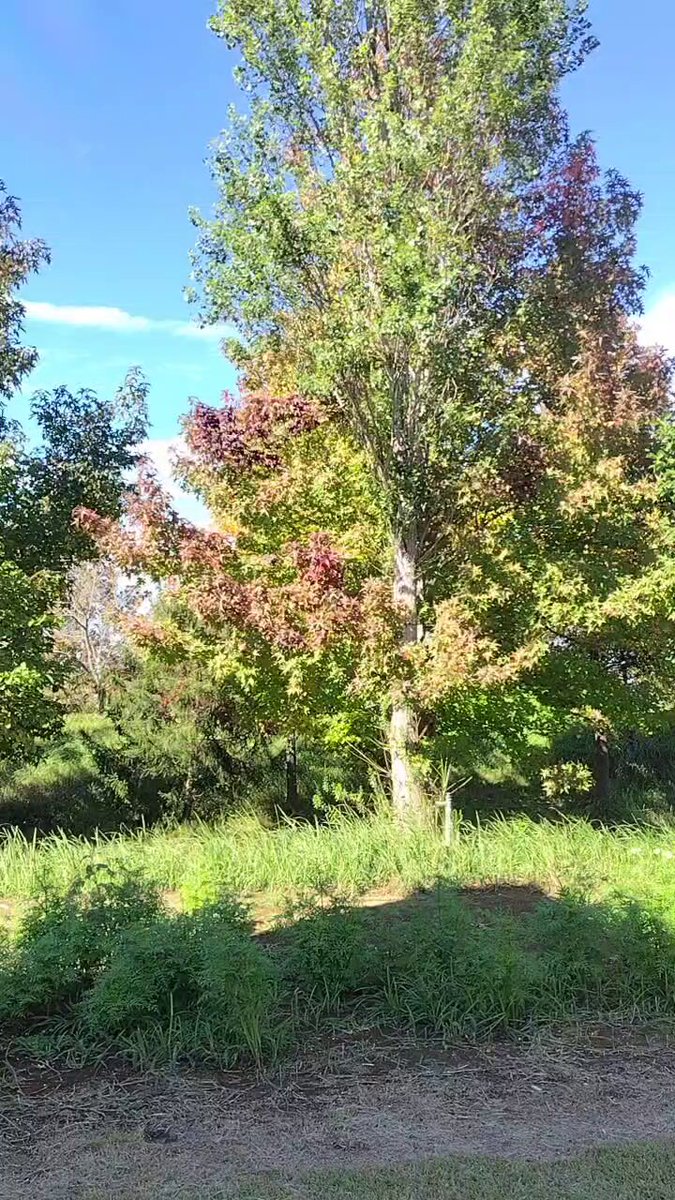 ホワイトベース公式 バイク on X