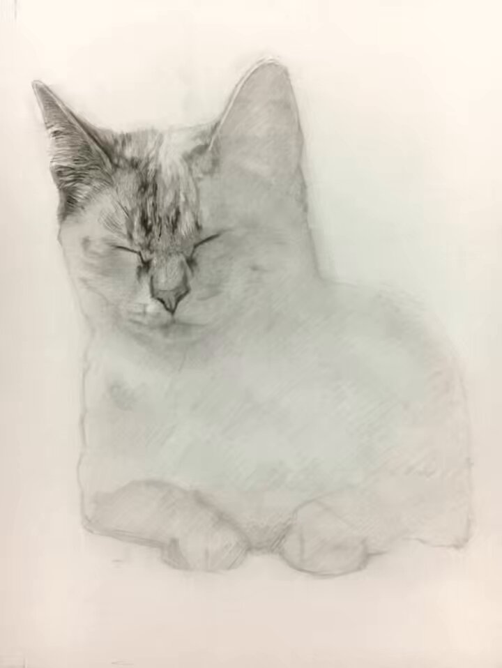 西方 由美 (@tarakuro510) / Posts / X