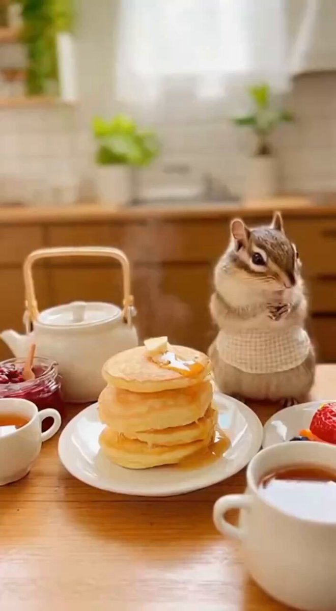 ドンちゃん on X