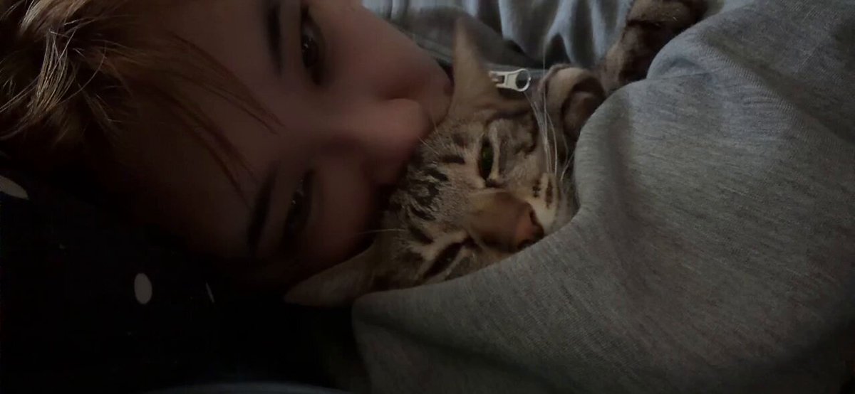 りーちゃん りーちゃん♡11/15ドールアニマル東京 on X