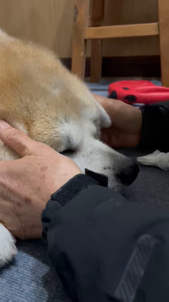 ْ (@65907_30_4) / Posts / X