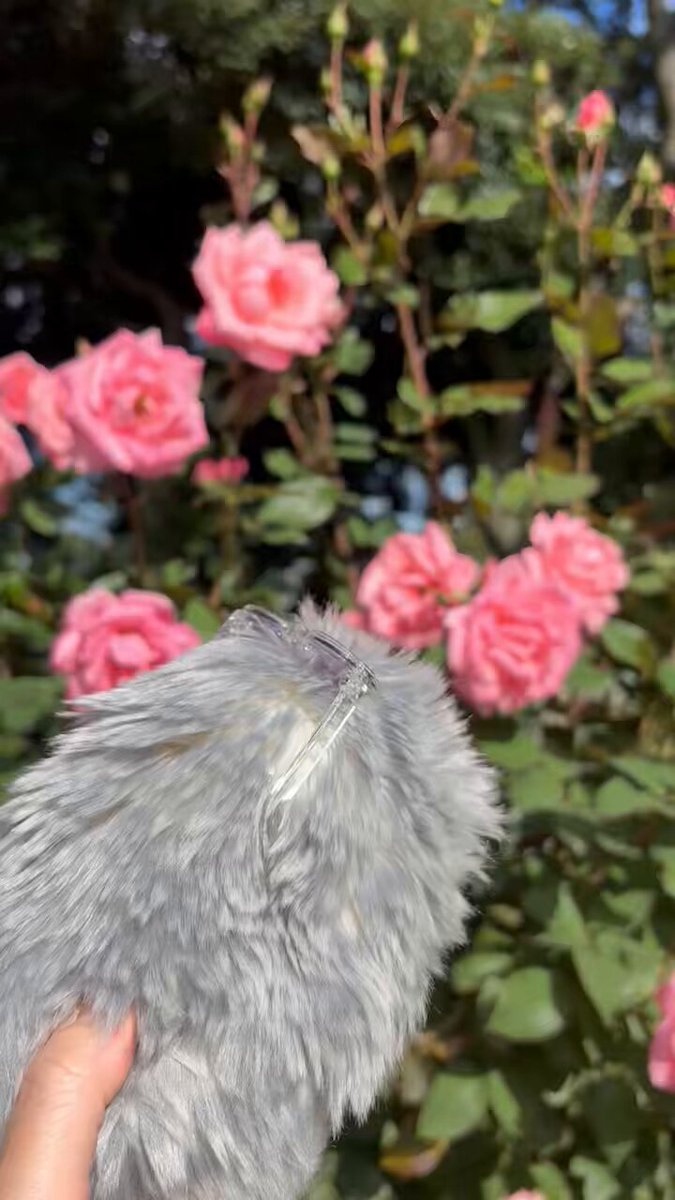 ⭐いいもの⭐ページ Amazon | ふくらはぎケア 膝 太もも 脚ケア 温熱ケア エアー