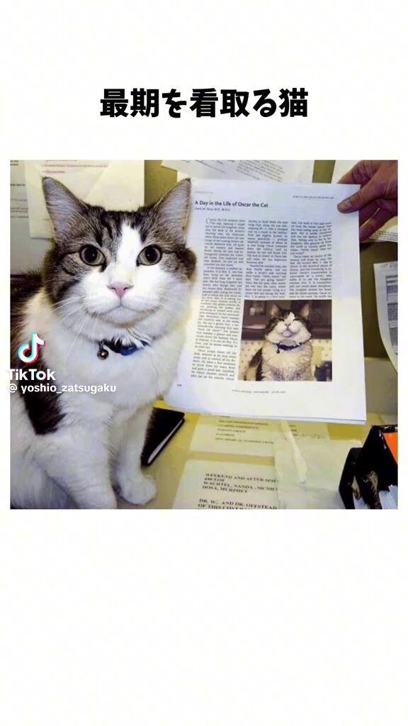 Video oleh @anon-user