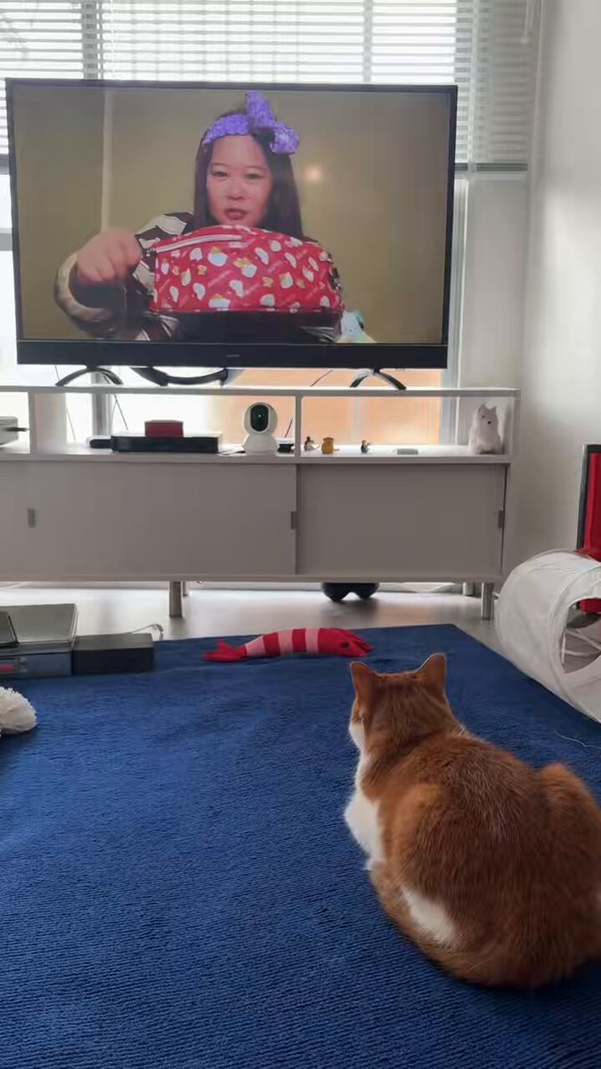 ちかぽんページです♡ ちかぽんページです♡ チカコホンマ(チカポン) (@chikako_honma) / X