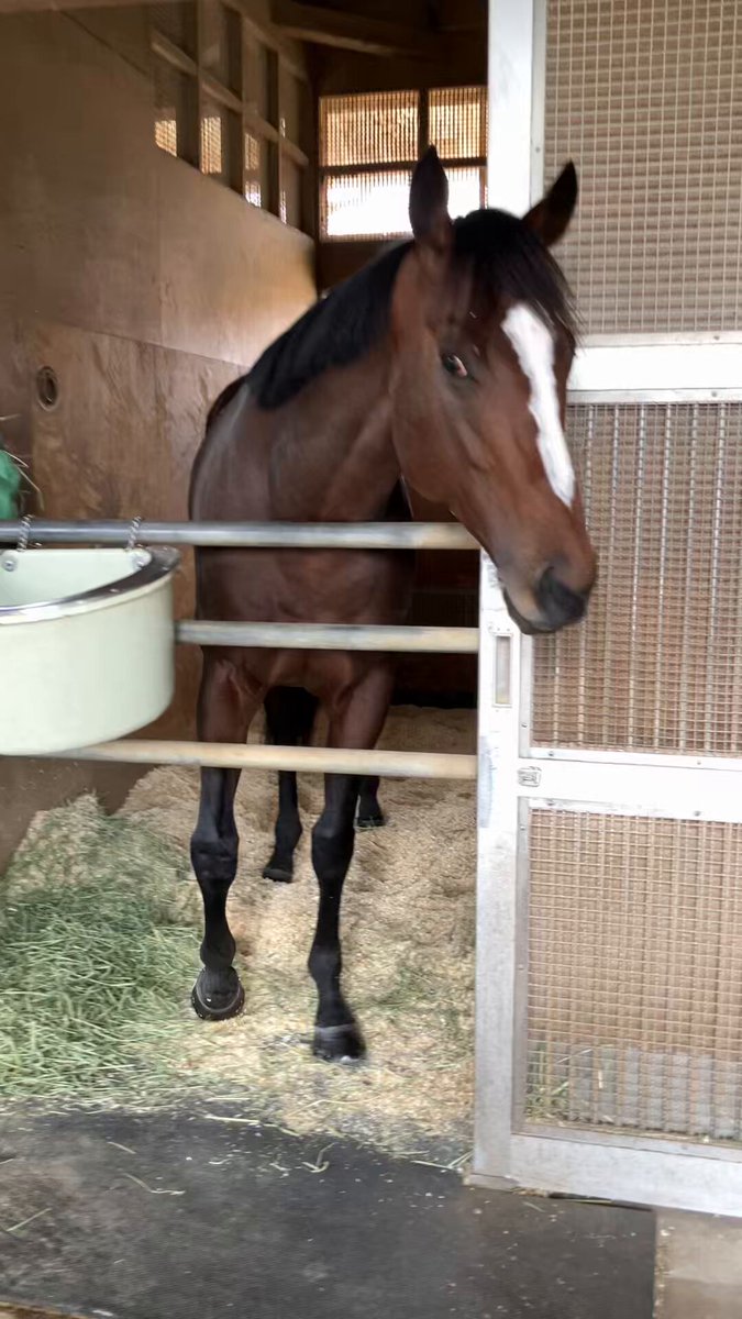 ユタデュー🐎 (@ODOUKUN) / Posts / X