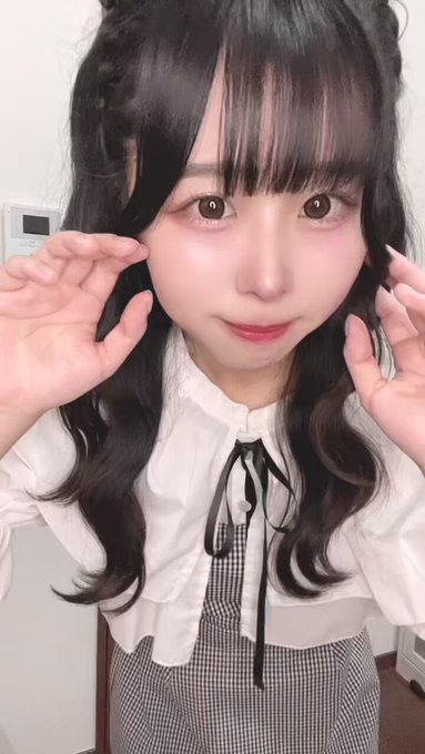 Dolly Catsのツイート