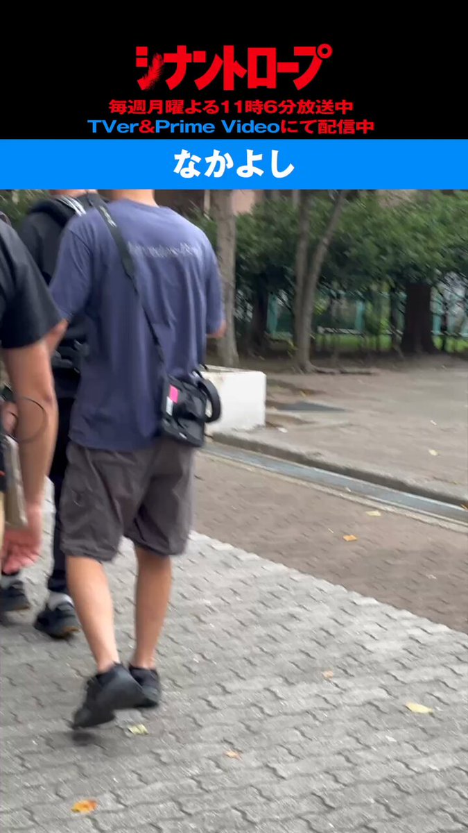 🌱🌳sachiyo🌳🌱 (@sachiyo512) / Posts / X