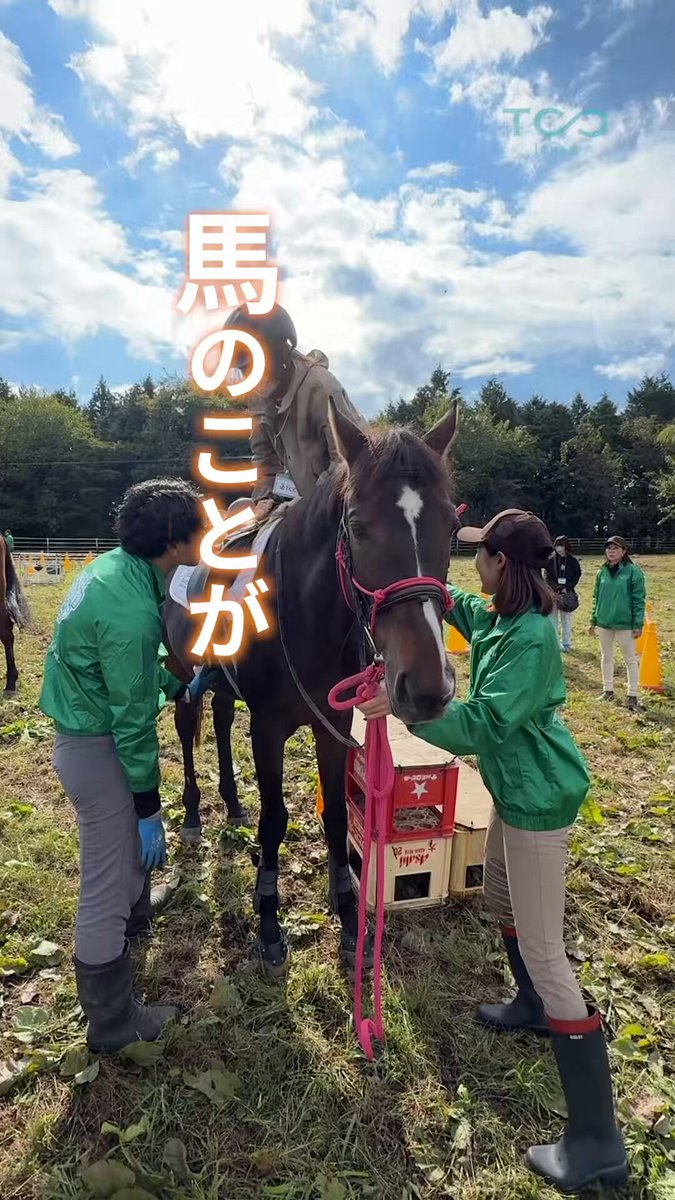 ●新品　TCC　ファンクラブ限定　フィジトロン　ヘッドマスター　プリテンダー　BOTCON　 botconのYahoo!オークション(旧ヤフオク!)の相場・価格を見る｜Yahoo