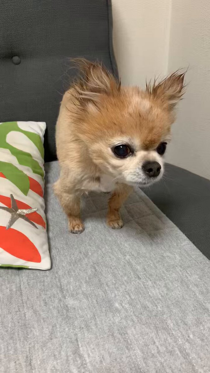 にこまる (@6yQgZFNMNk76215) / Posts / X