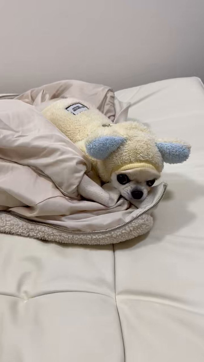 アイドル sawa SAWA on X