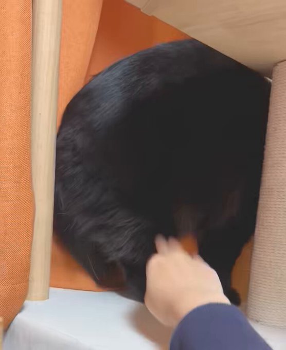 殴る時だけ爪出してるの草だから見て 