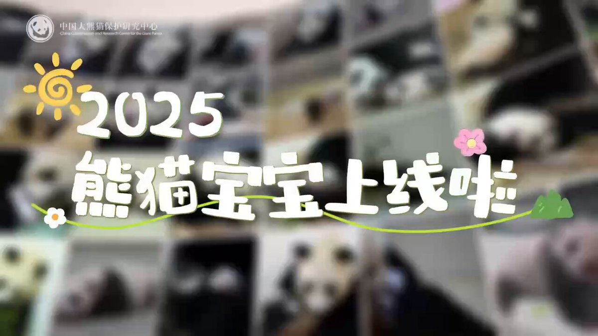 シャンシャンの家 on X