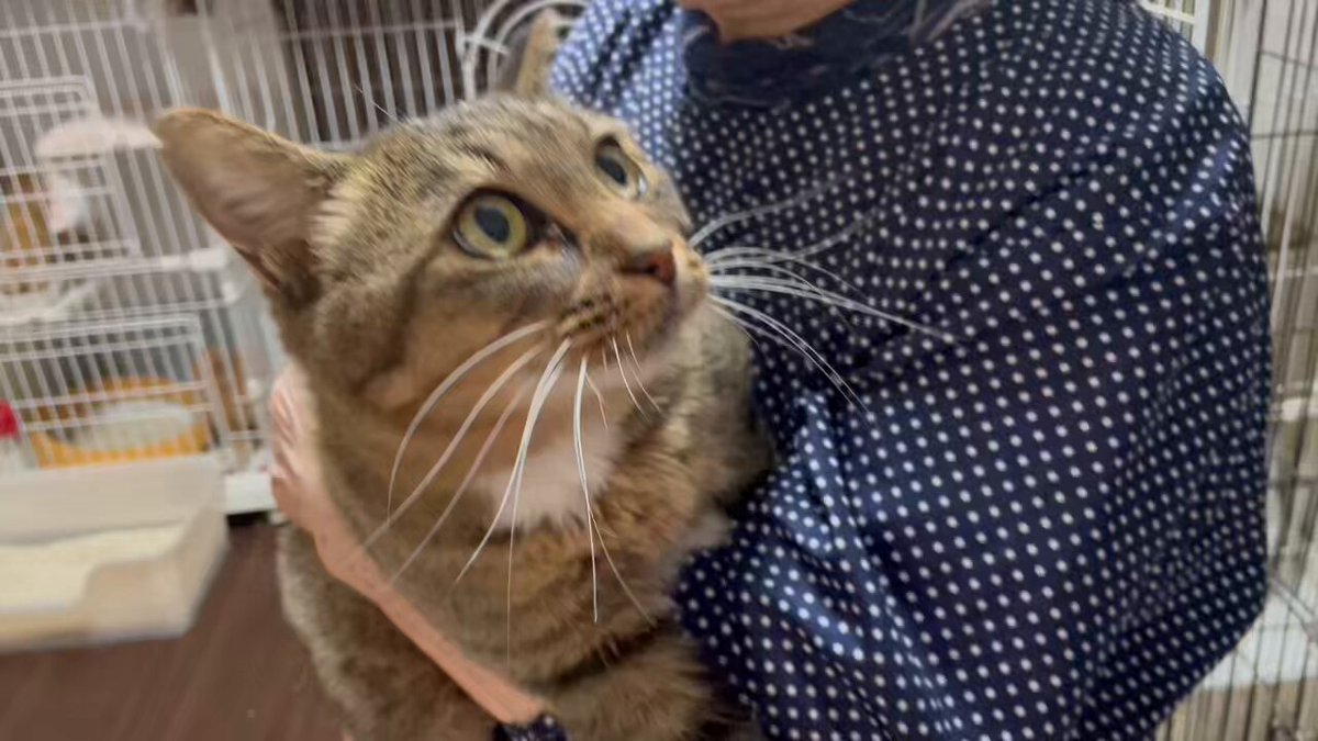 Graceyujewelry🍀 天然石コイルブレスレット✢ ハンドメイド