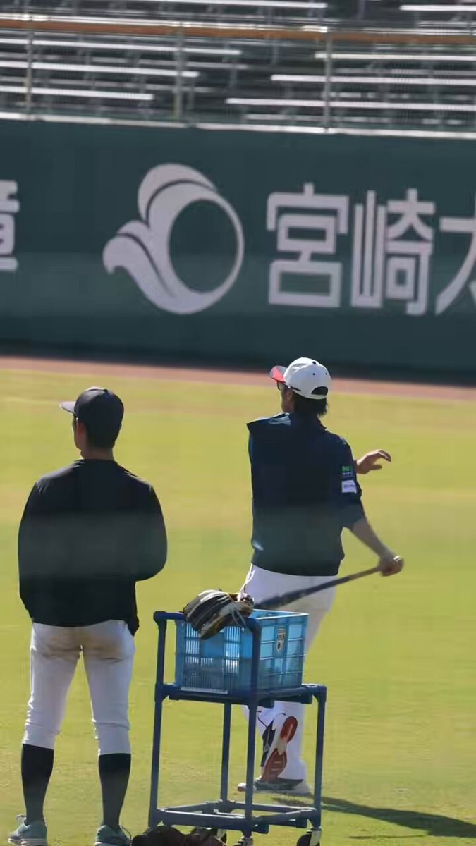 ※*。様 NPB公認 亀井善行　バット 亀井善行選手 実使用 NPB支給バット - メルカリ