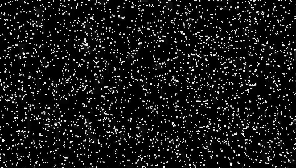 Hush (@hush_wallet) on X