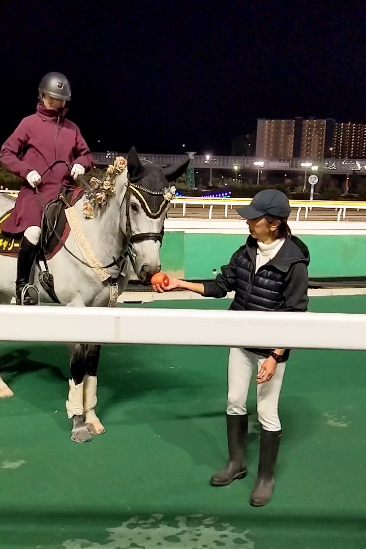 禁断の果実様 禁断の果実