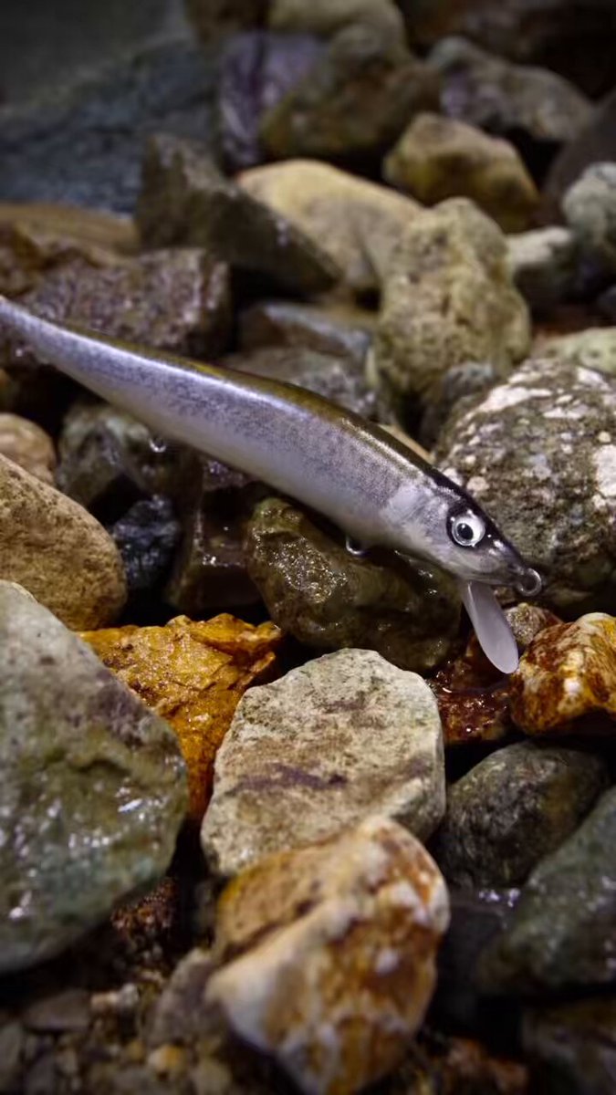 フレッシュベイトルアーズ｜Fresh Bait Lures (@FreshBaitLures