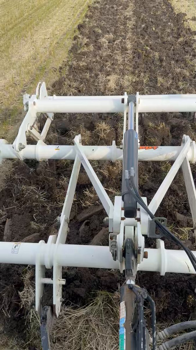 よいち (@Cg8fA28MG1Dty5i) / Posts / X