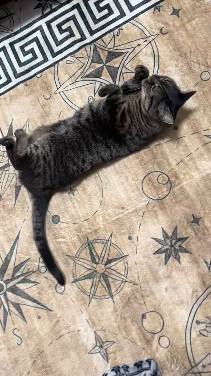 ジャッキー (@jacky_pascal) / Posts / X