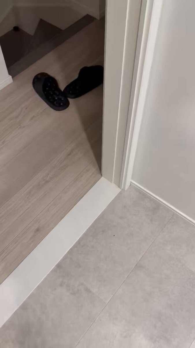 ロシアンブルーのシアン🐈‍⬛ (@kana_cosme123) / Posts / X