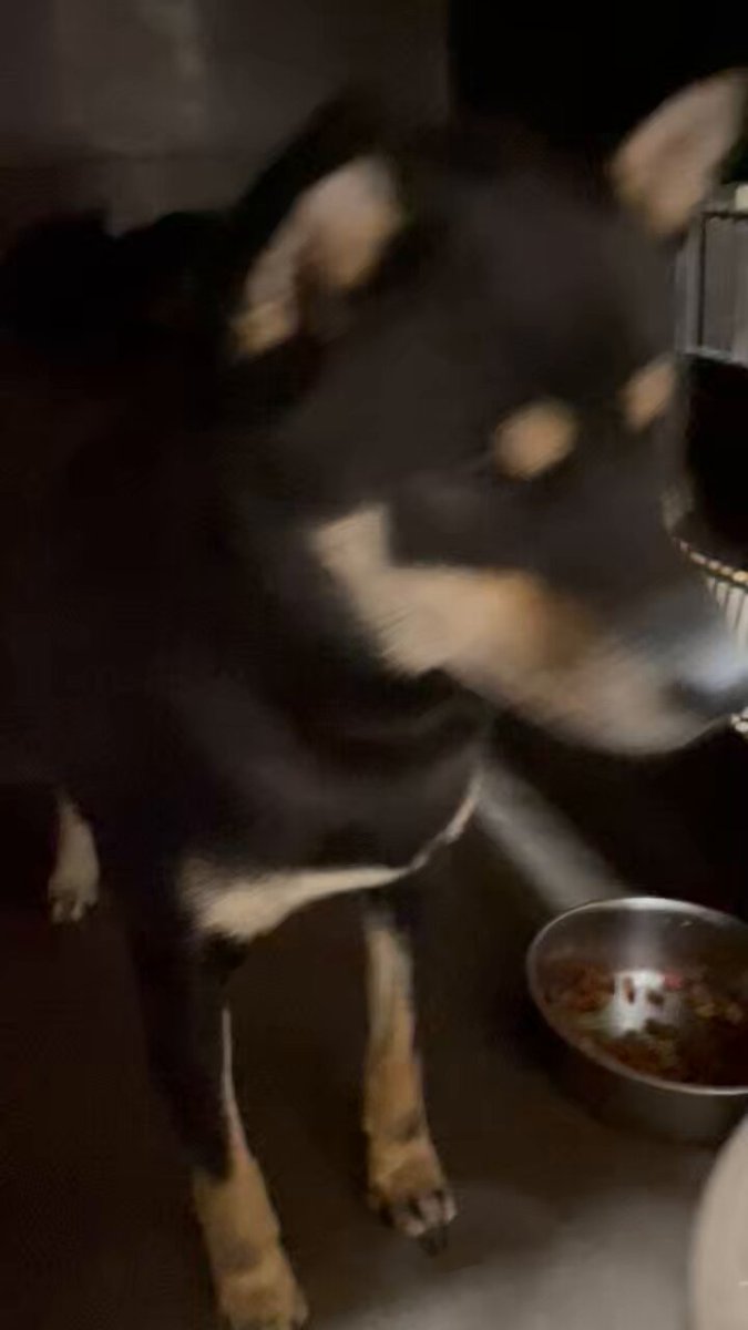 湯けむり♨️よっちゃん✨ on X