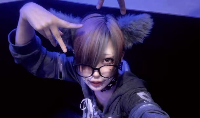 ノラ猫でも愛してくれますか？のツイート