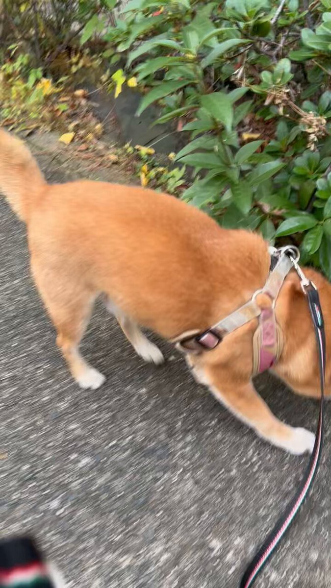 H I R O M I (@HIROMI66136439) / Posts / X