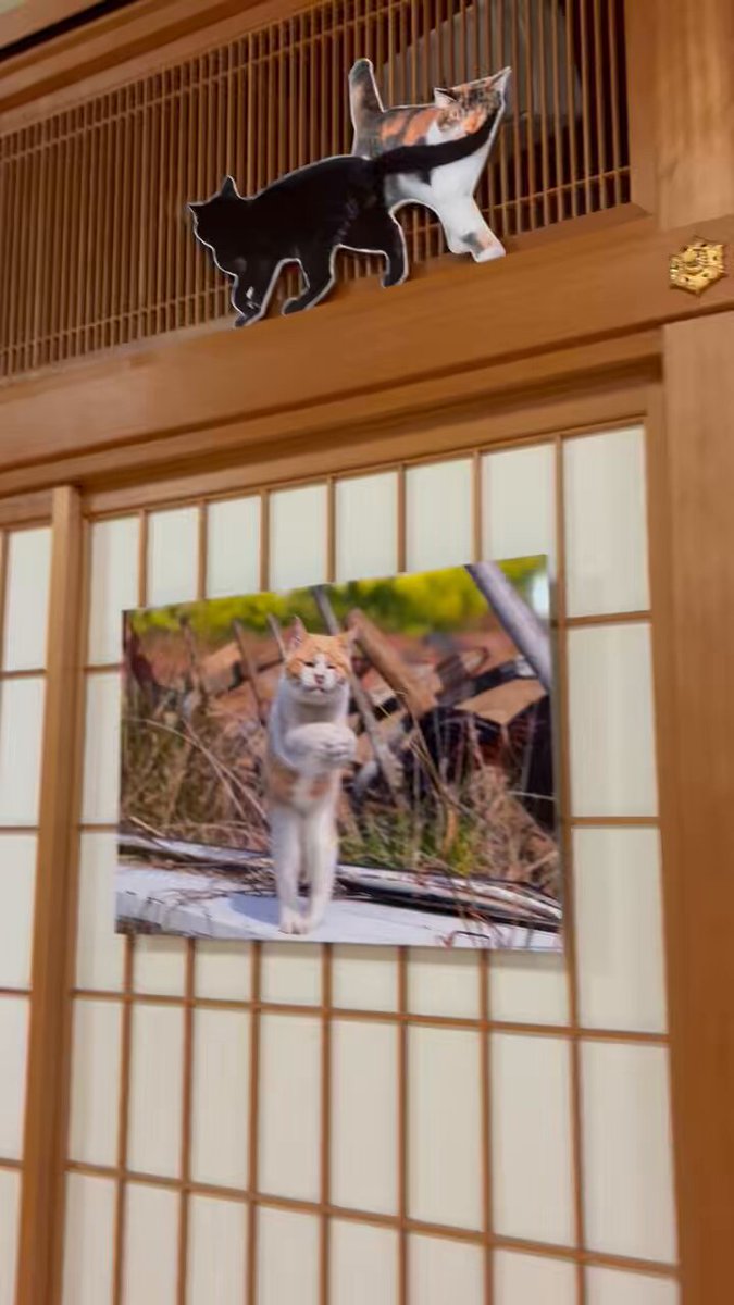 しっぱいメタモン【 on X