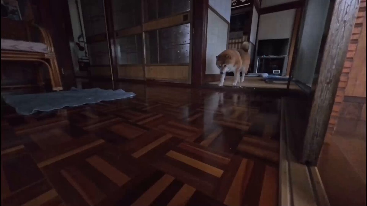 【専用】 しばライオン同封❌様 レビュー：TF 40TH SELECTION ライオコンボイ | 超偏見超変形/リベンジ