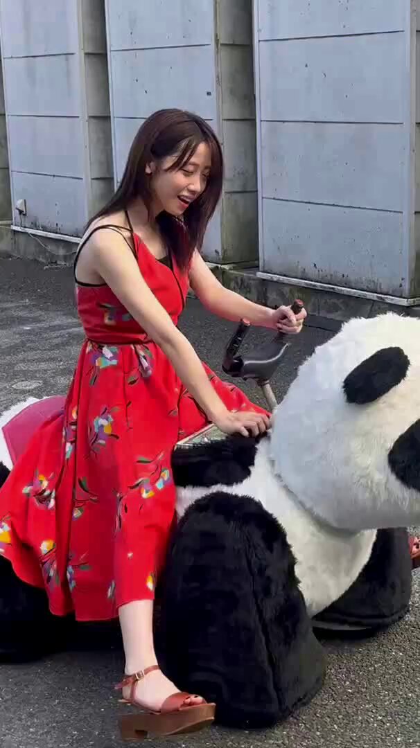 Keiページ N) 98547 JR 475系電車（北陸本線・青色） 3両セット | トミックス