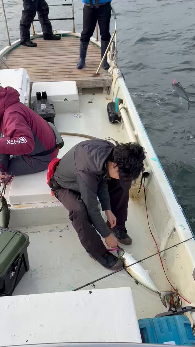 釣りキチたかちゃん (@yamame628) / Posts / X