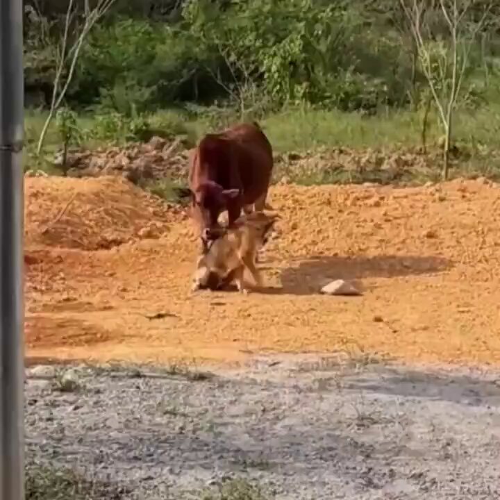 SSSRning seksual qizlari