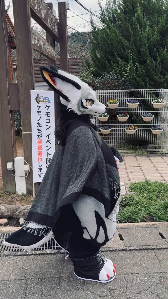 るん (Run)→JMoF (@run_charizard) / Posts / X