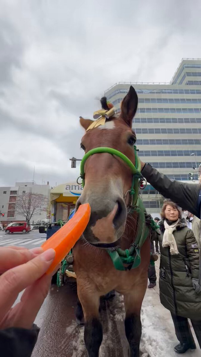 あんず (@anzu311) / Posts / X