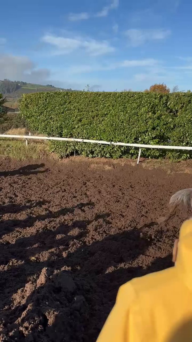 4595*¨*•.¸¸海外セレブにも大人気のイガイガビーズ もふもふ (@pmanrouu824) ⁄ Posts ⁄ X