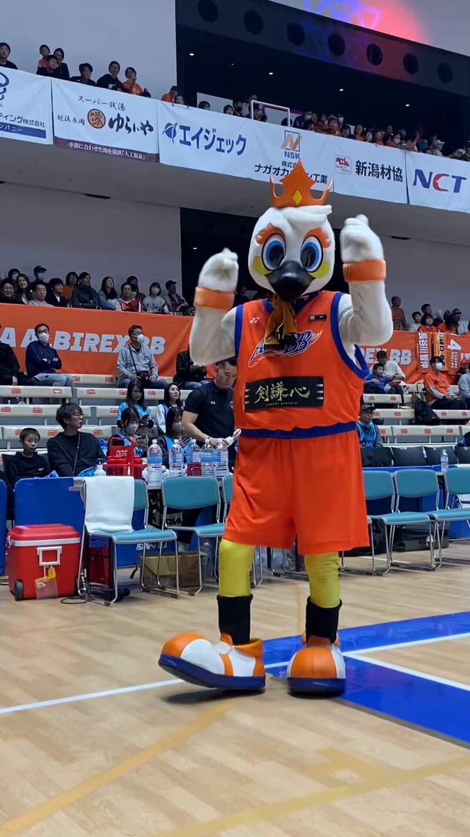 ★新潟アルビレックスBB公式出品★B.LEAGUE2018-19　長岡開府400年記念ユニフォーム　#18森井健太 選手着用　直筆サイン入り 新潟アルビレックスBB｜（Bリーグ）公式オンラインショップ