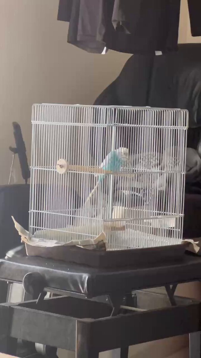 るるこさん。確認して下さい。 ruruko, 小さな悪魔のいるところ」 開催決定！