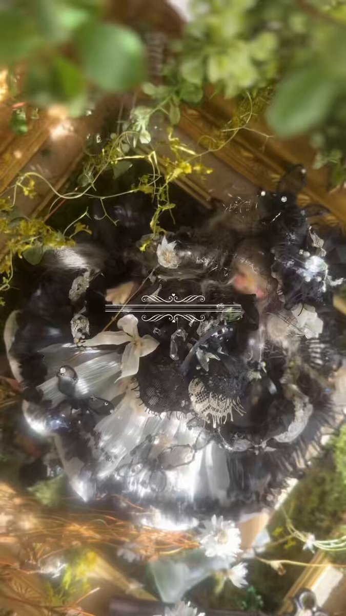 えみんこ🌿Coppelia tea🌿 (@emin_coppe) / Posts / X