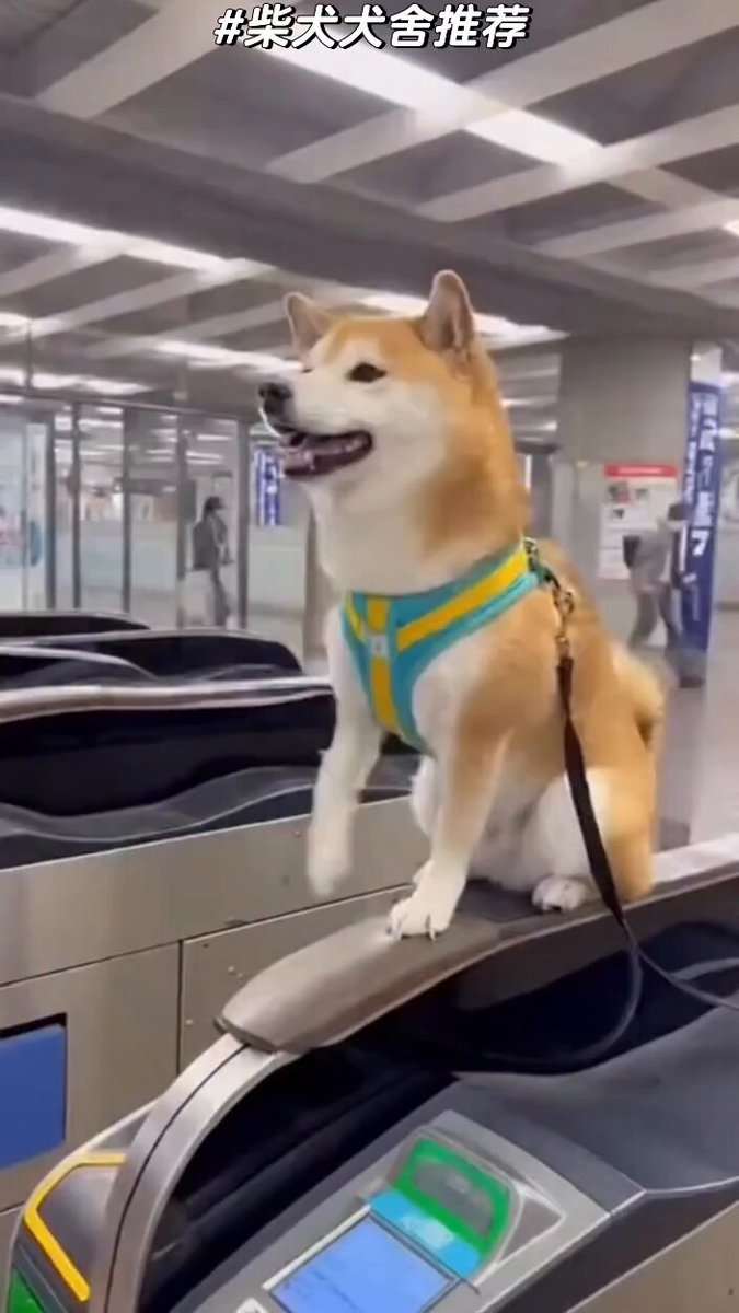 ゆうやJR鉄道乗務員 ゆうやJR鉄道乗務員 ゆうやJR鉄道乗務員 ゆうやJR鉄道乗務員 RAILWAYS