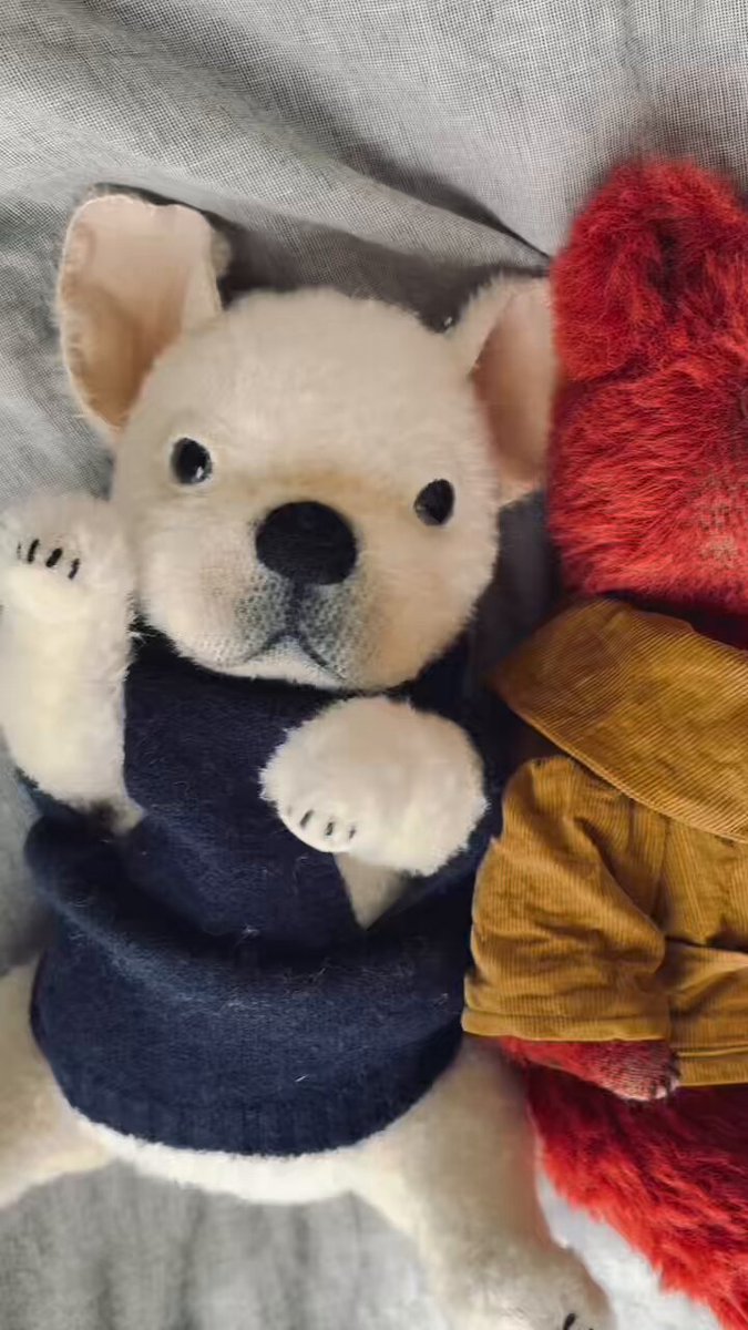 ゆっち mironuts𓀫 (@mironuts) / Posts / X